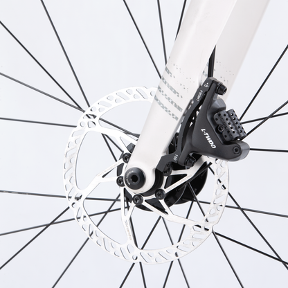 XDSBIKE AD300  20sp //  Road Bike