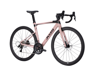 XDSBIKE AD300  20sp //  Road Bike